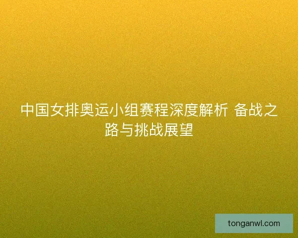 中国女排奥运小组赛程深度解析 备战之路与挑战展望